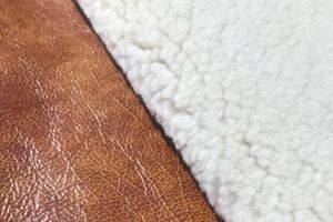 Merinos Cloud