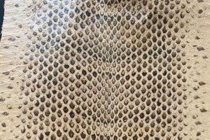 Ayers Elaphe Print Light Brown