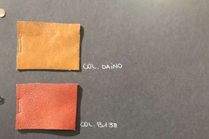 Color Card Colorado