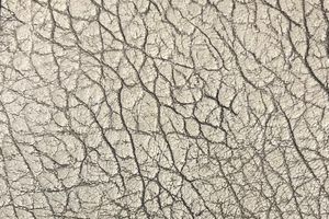 Muflo Asportabile