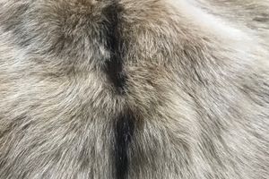 Agnello X Esterni Brisa Seri. Telaio 1 Colore 0462