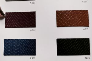 Color Card Whips Lux 2