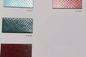 Color Card Whips Lux 3