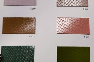 Color Card Whips Lux 1