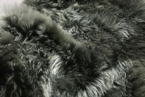 Agnello Gitana X Esterni Magiaro 0464