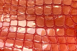 Zambia Solid Perle'