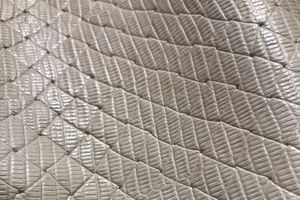 Tejus Treccia